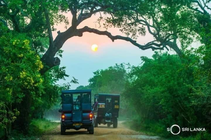 Kottamba Yala Stay & Safari Tissamaharama Exterior foto