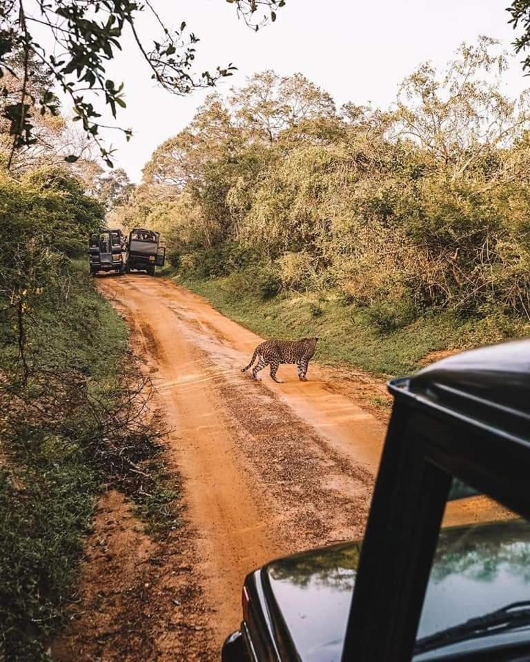 Kottamba Yala Stay & Safari Tissamaharama Exterior foto